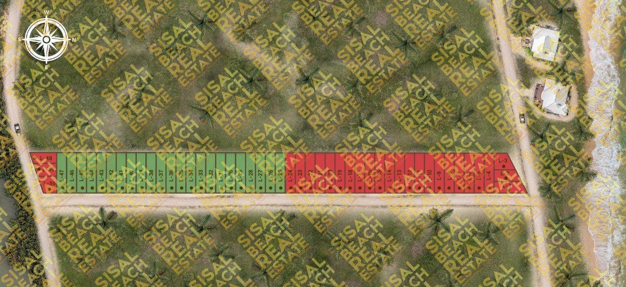 Imagen-de-WhatsApp-2024-12-30-a-las-16.04.52_569a9591