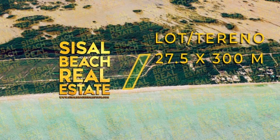 Lot For Sale 27.5x300m Terreno en Venta 8,250m² Primera Fila Frente al Mar / Sisal Yucatan México