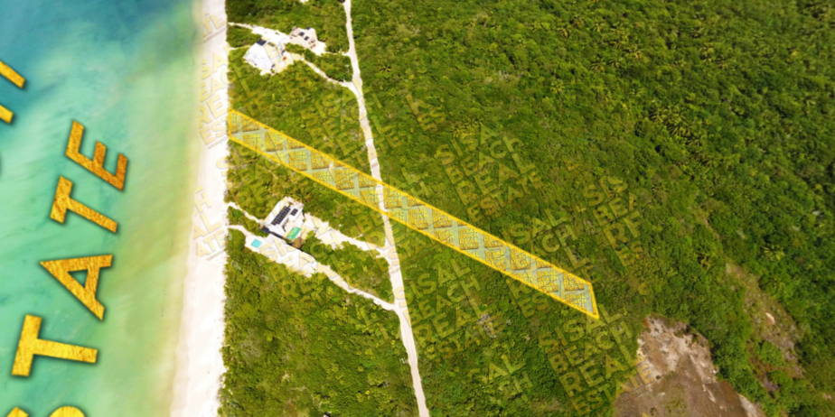 Terreno en venta frente al mar en Sisal Yucatán | 20x190m | 2,823.96 m² | FOR SALE BEACH FRONT LOT