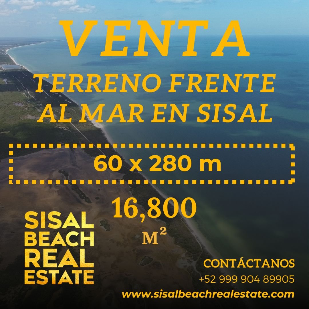 Terreno en venta en Sisal Yucatán frente al mar 60 x 280 m (16,800m²) $60,000,000.°° MXN