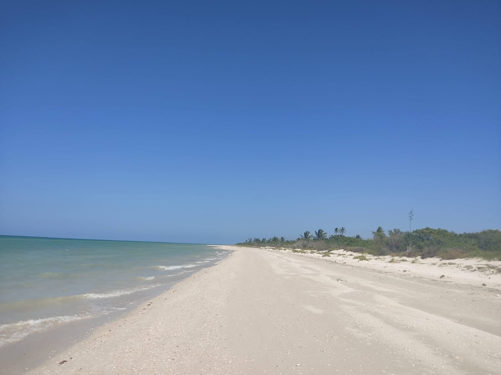 Terreno en venta en Sisal Yucatán 10x60m L-110 segunda fila dentro de proyecto inmobili…