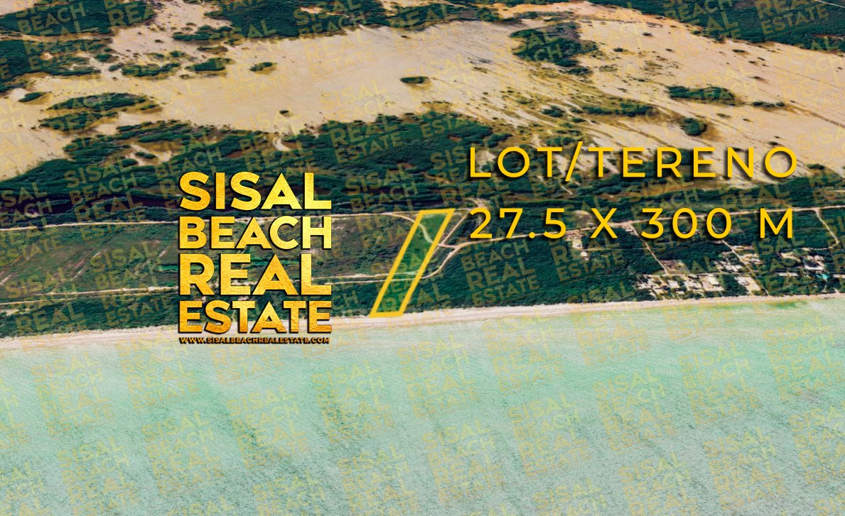 Lot For Sale 27.5x300m Terreno en Venta 8,250m² Primera Fila Frente al Mar / Sisal Yucatan México